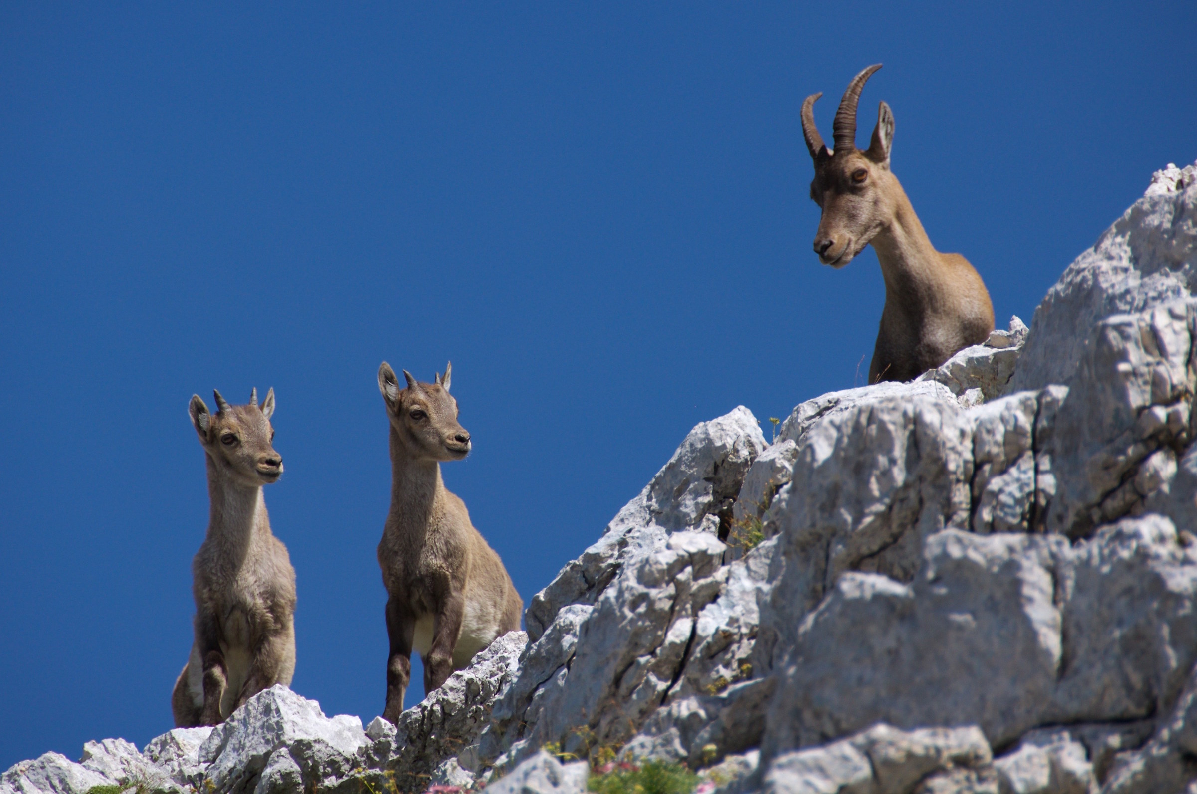 Possiamo andare a giocare?