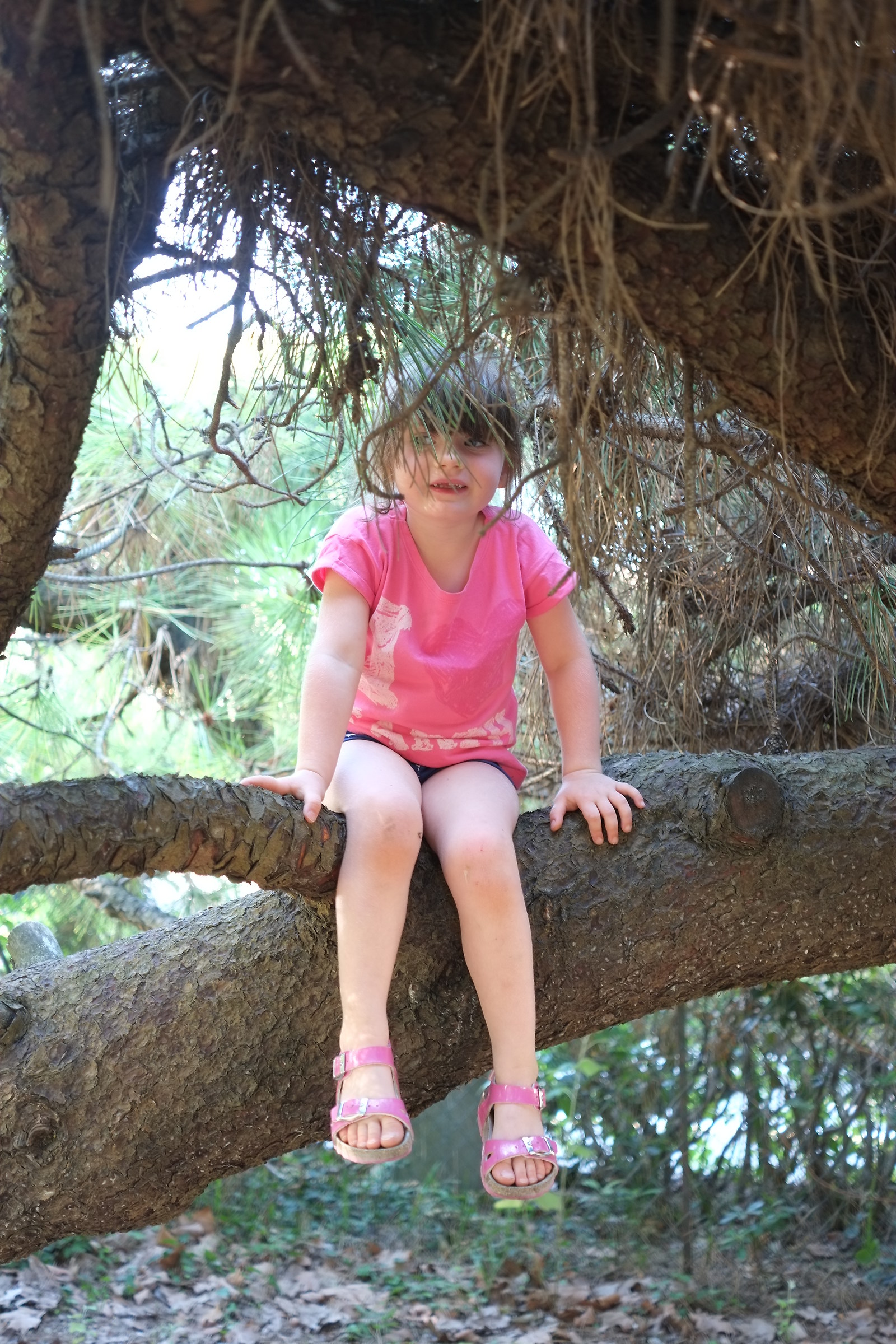 prima scalata di un albero da sola