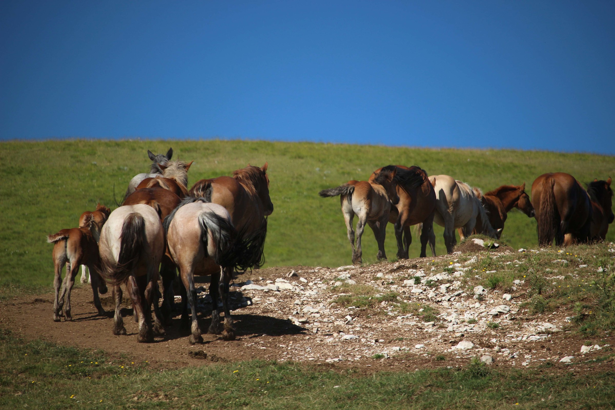 Date back to the blue