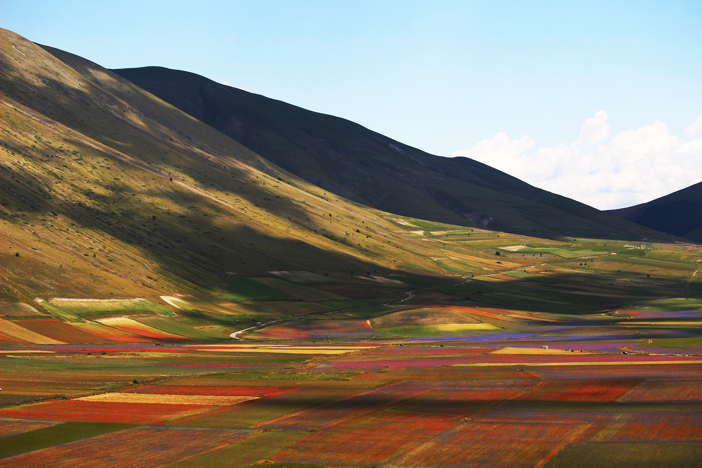 Panorama della fioritura