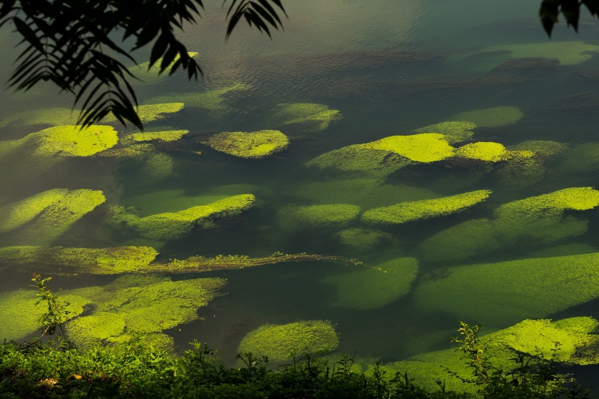 Green River.................