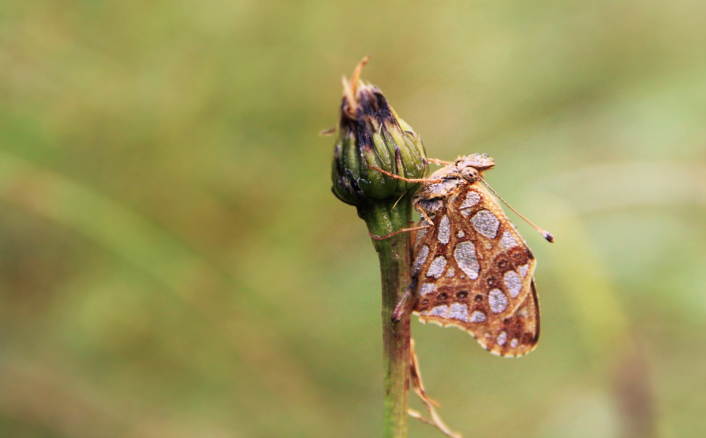 Waiting for a ray of sunshine