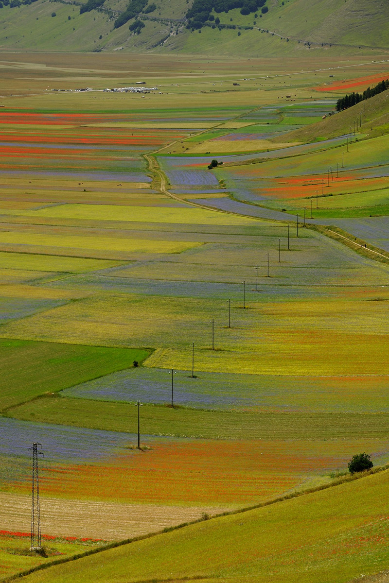 La linea dei colori...