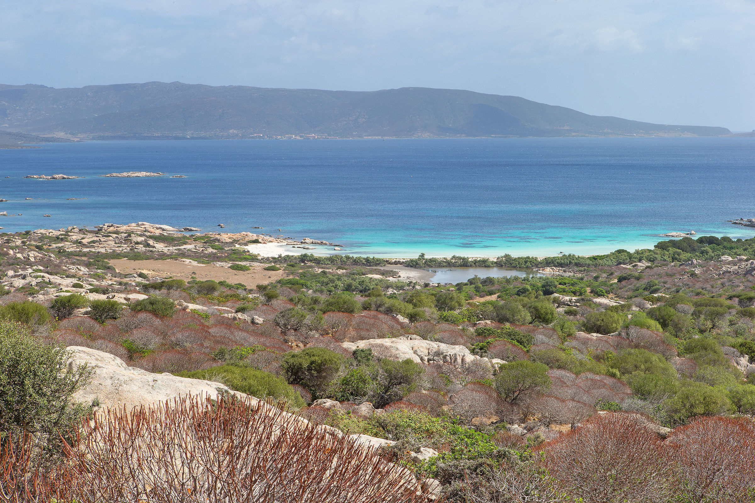 Asinara15