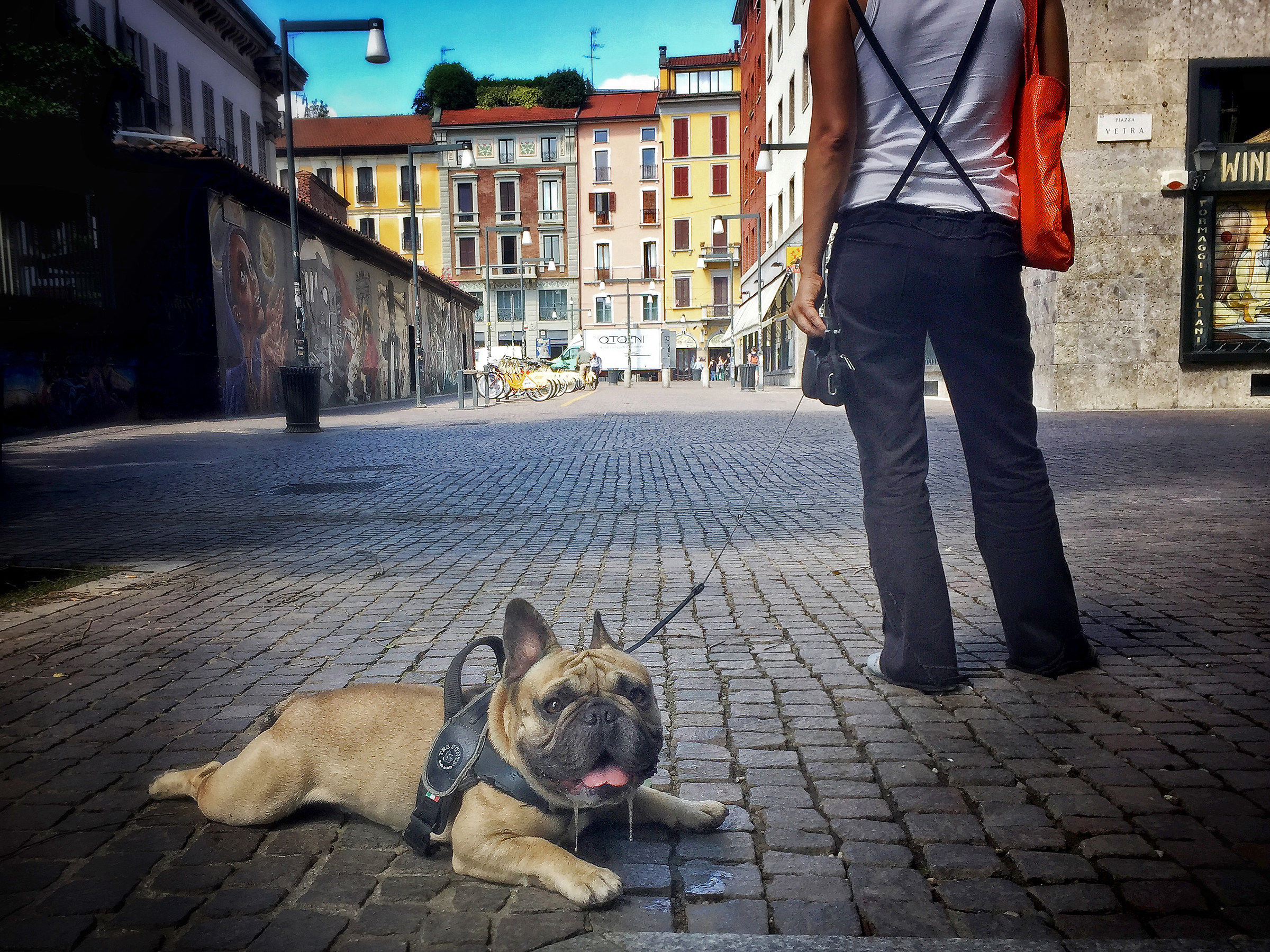 I can not handle it anymore...