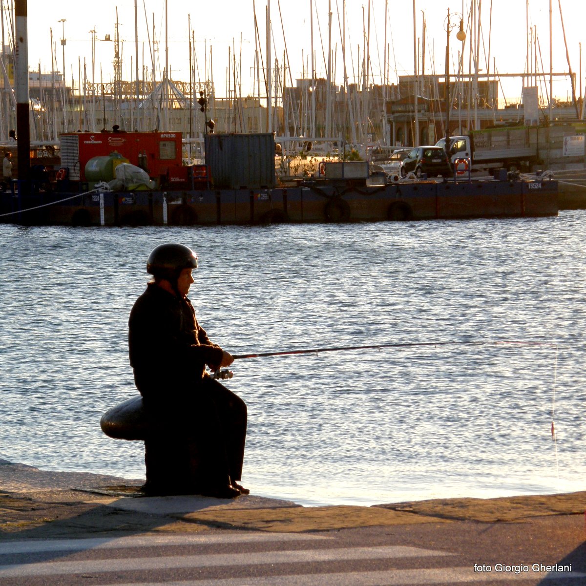 e.. se pesco un pesce martello? meglio premunirsi