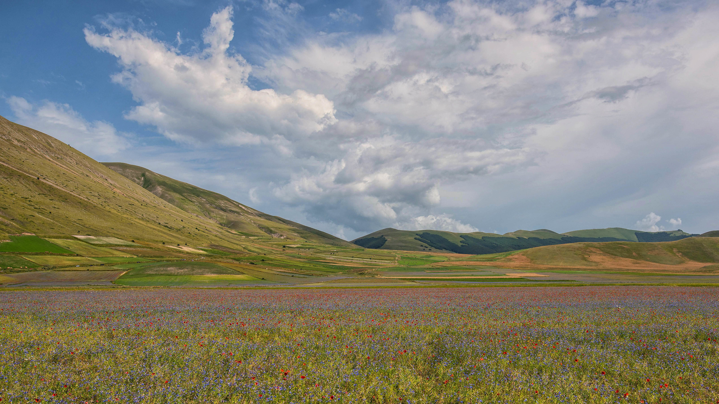 Castelluccio