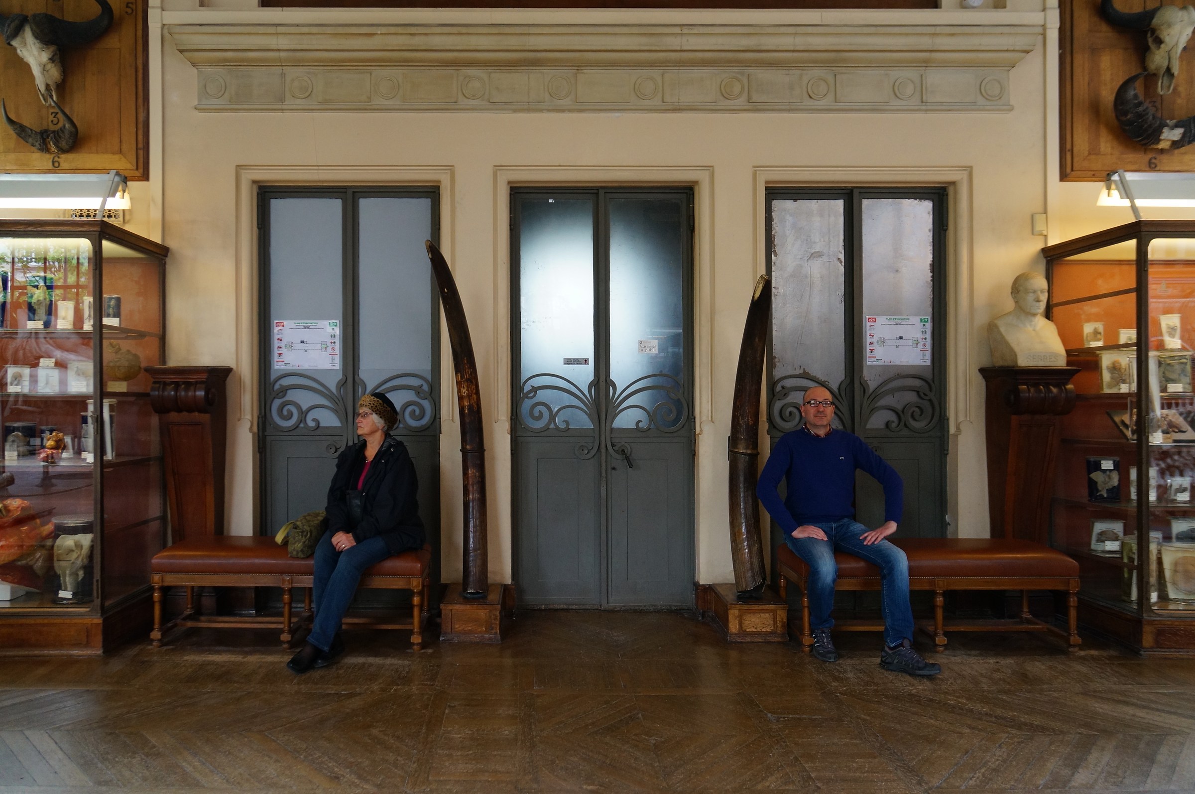 Galerie de Paléontologie et d'Anatomie compar&eac...