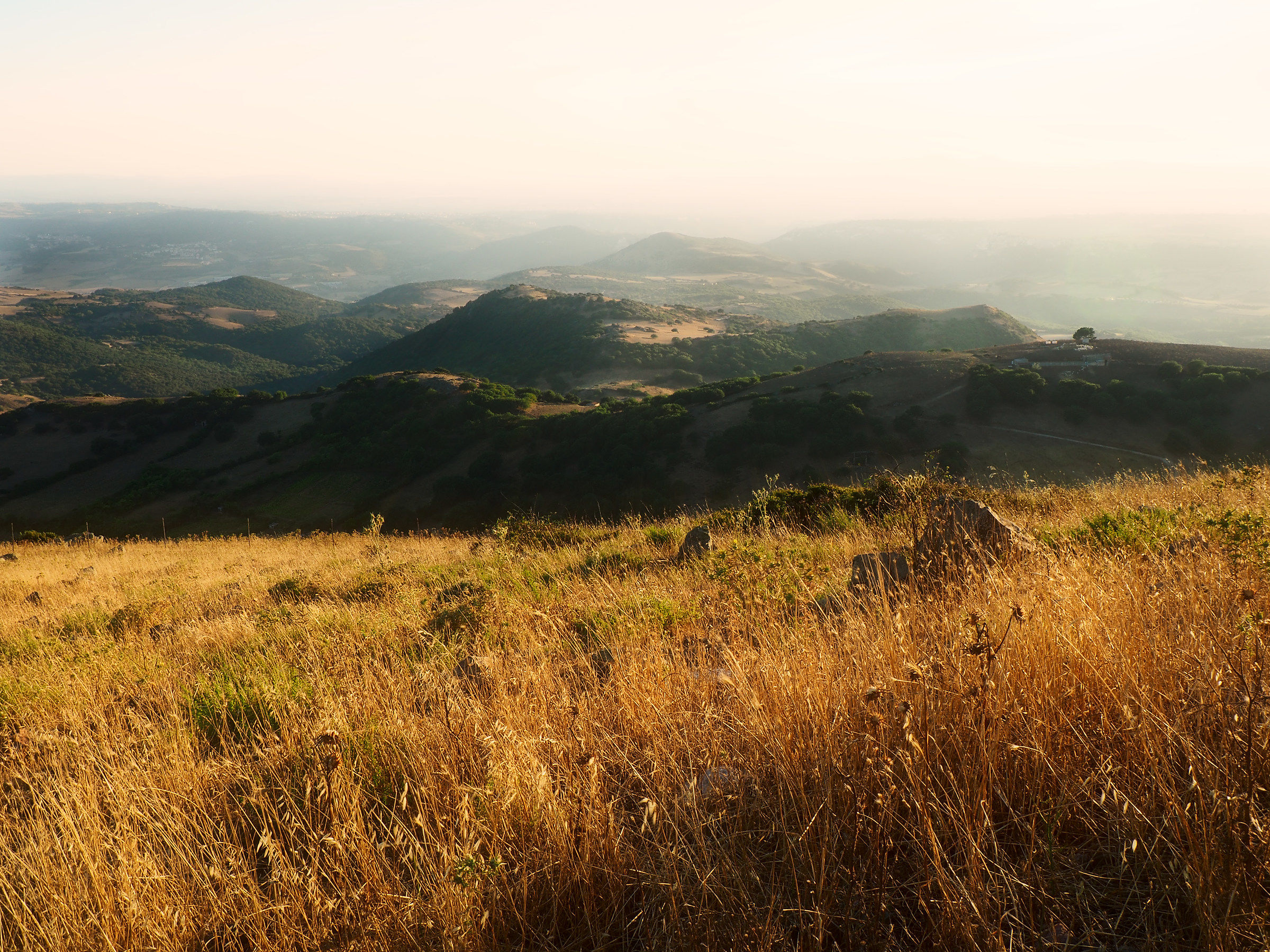 Ammirando il tramonto