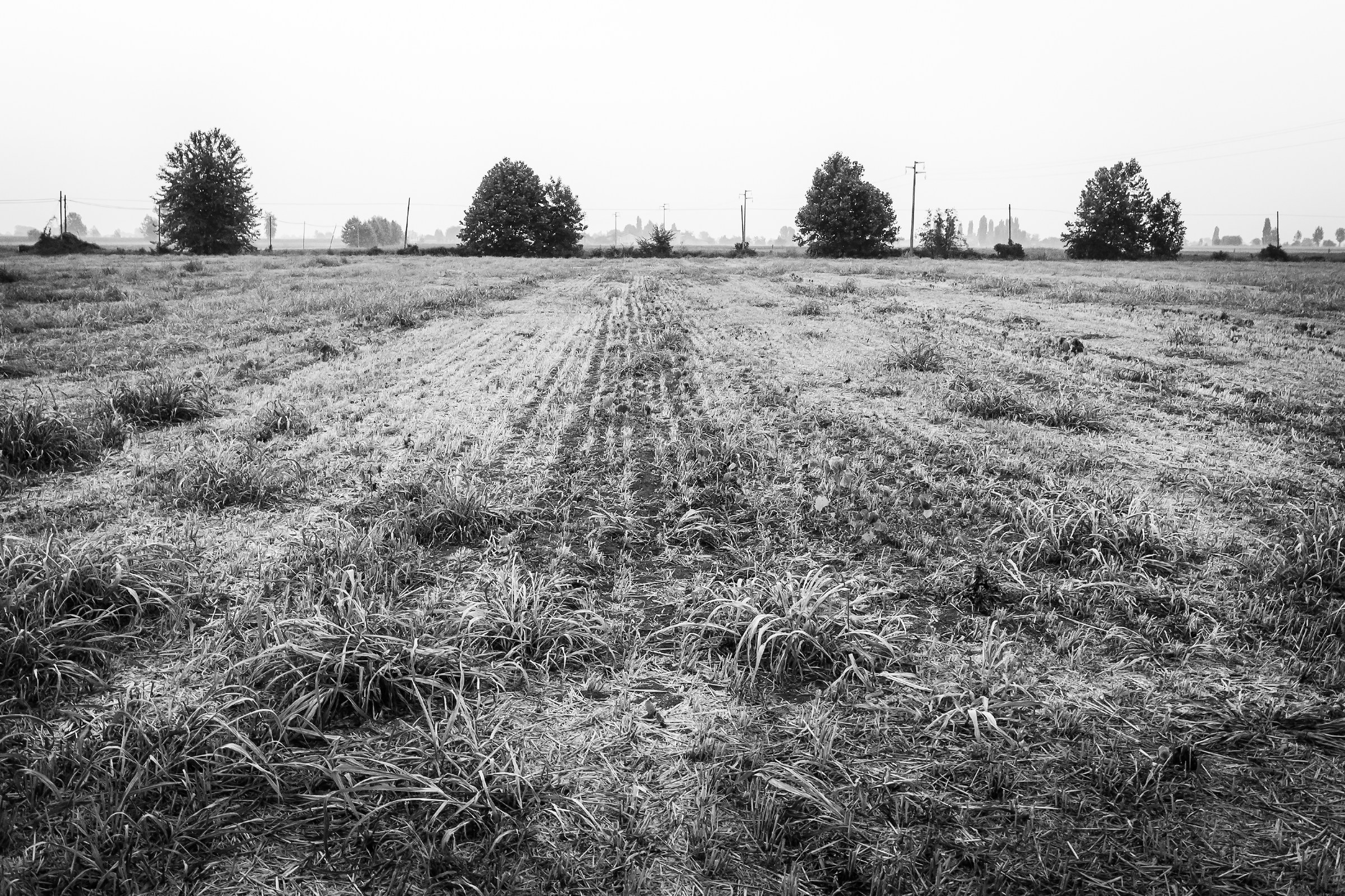 Photos under the house