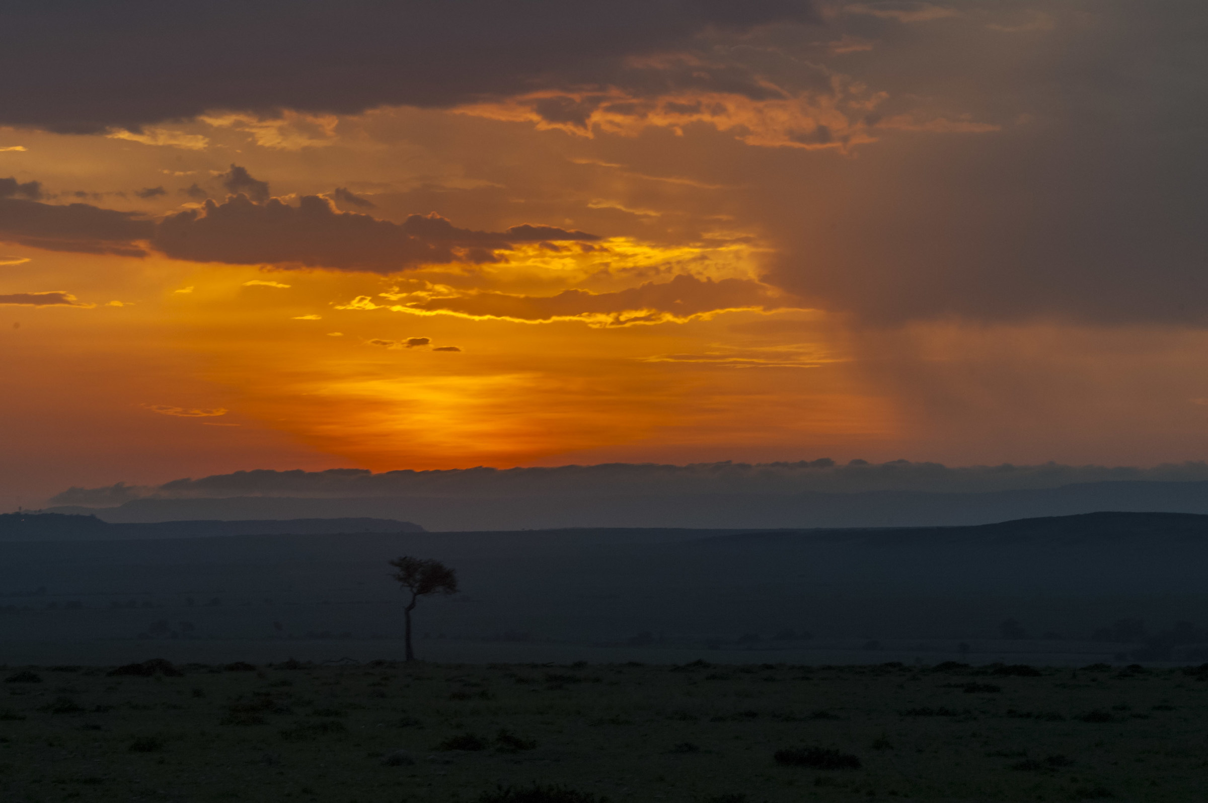 Sunset in the Masai Mara