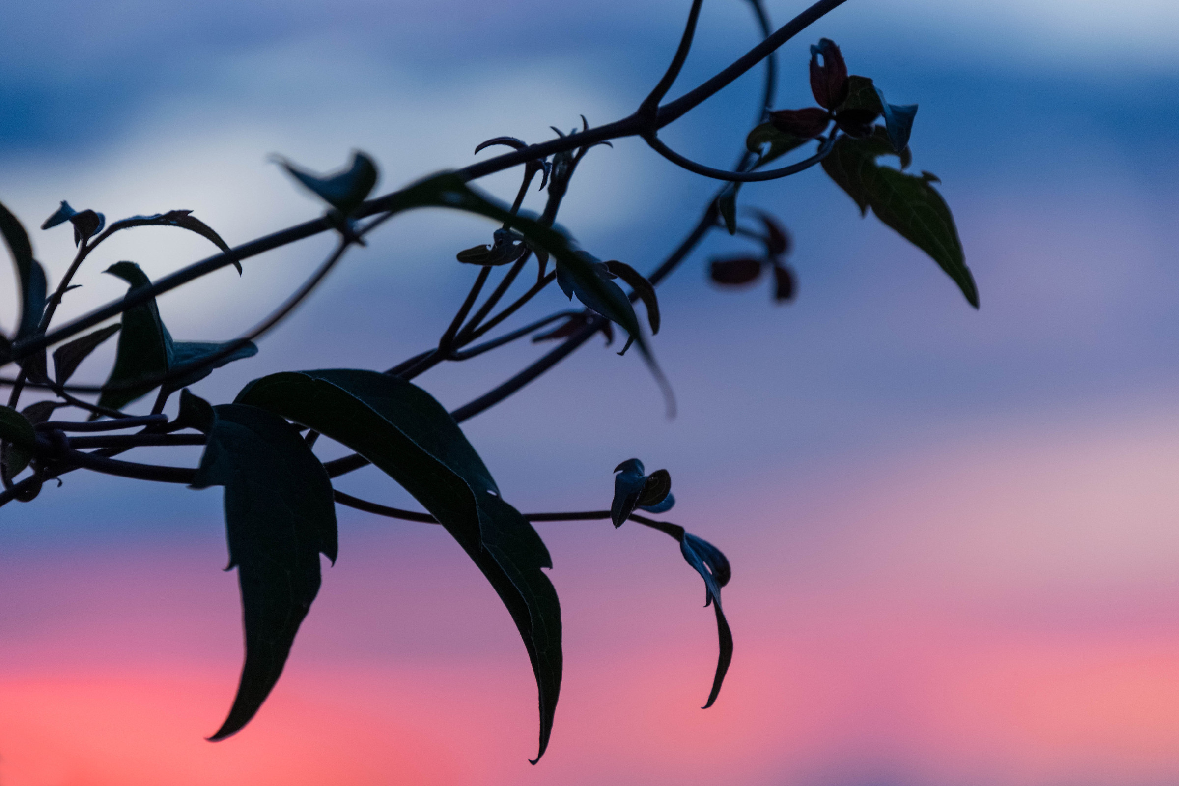 Il pastello colori del tramonto