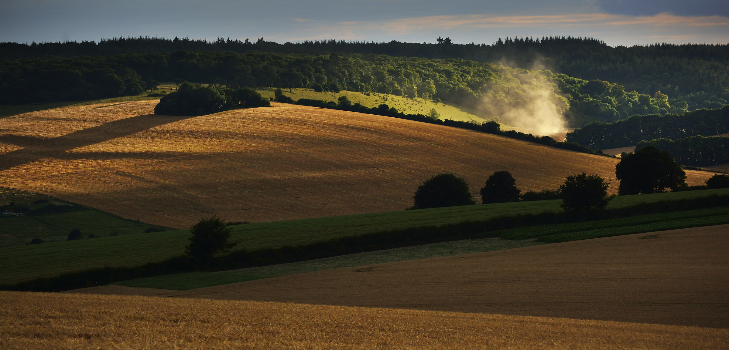 Early Evening Harvesting