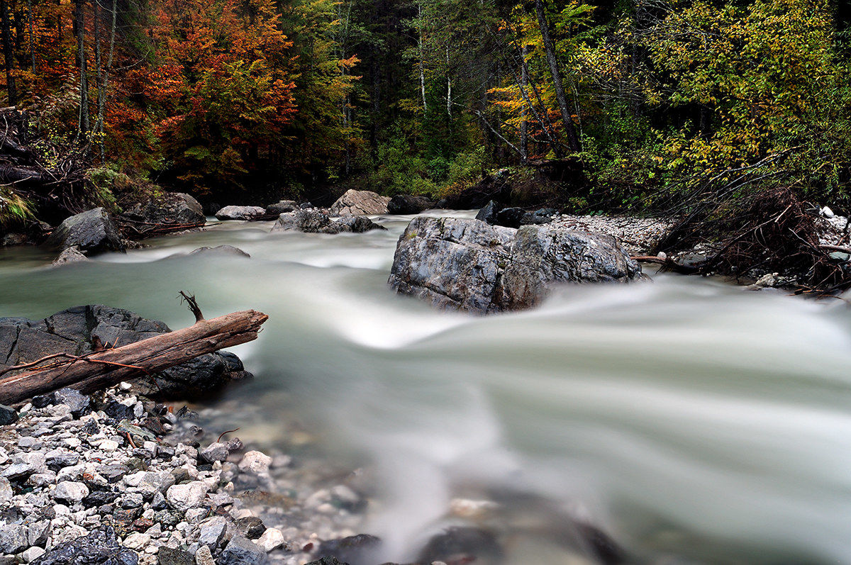 Creek autumn - Val Saisera - Julian Alps