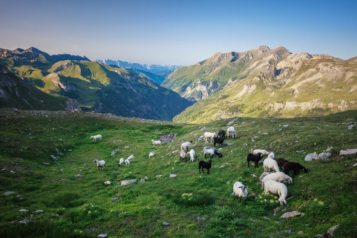 Grossglocknerstrasse