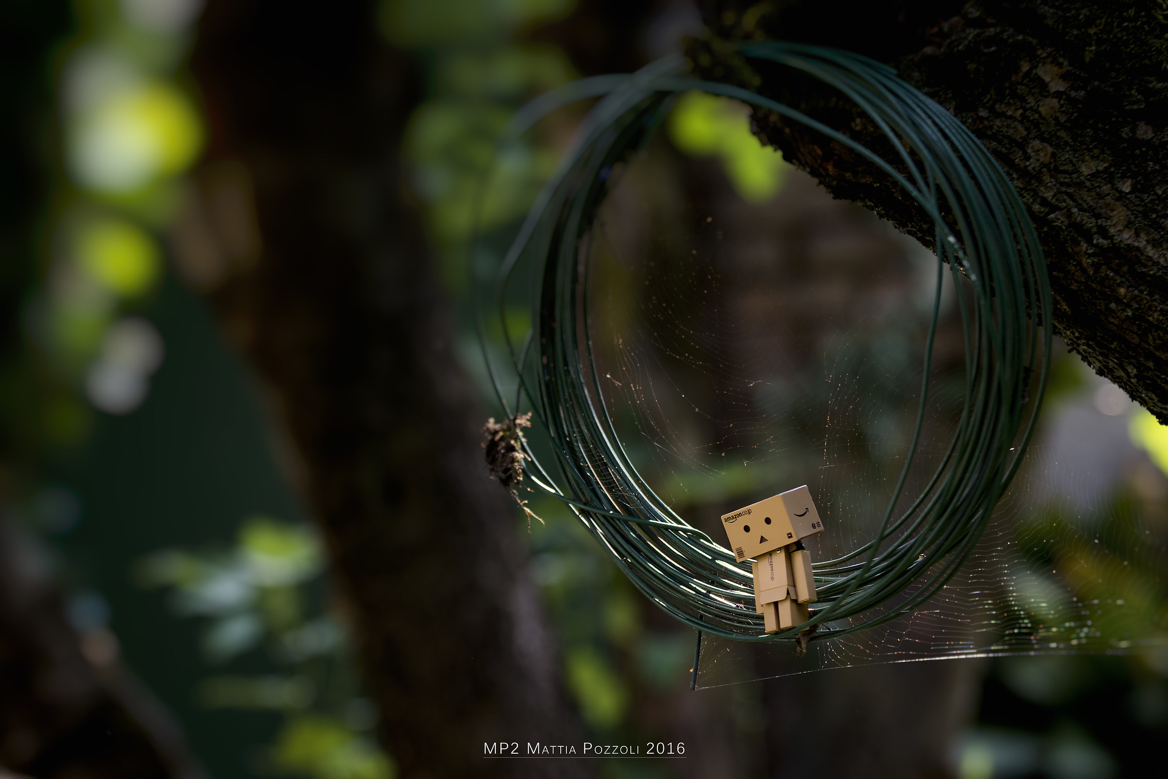 Dan Look for Love. pt1