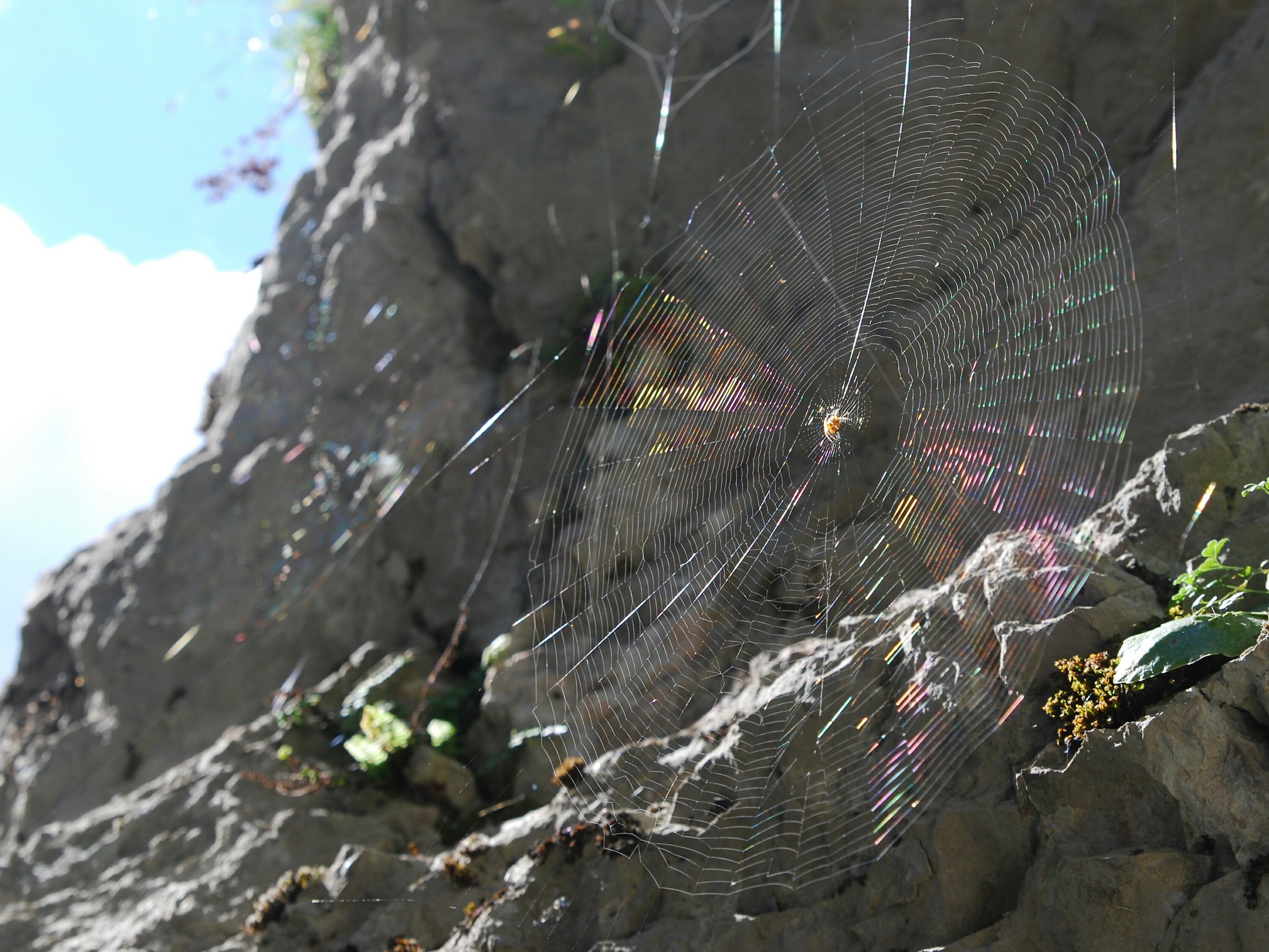 Like a soap bubble ...