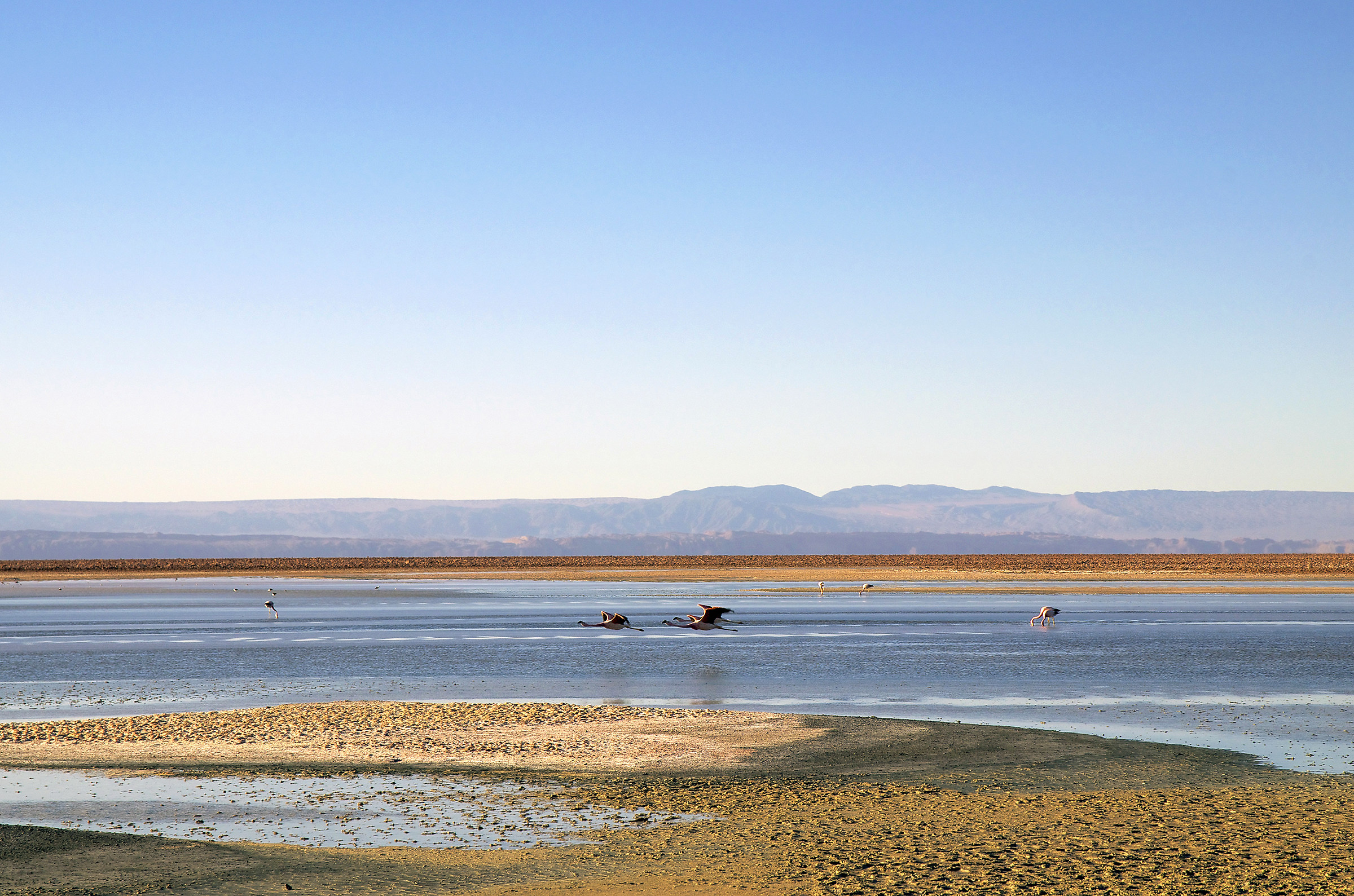 Great Salar de Atacama