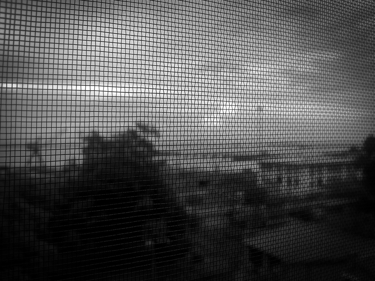 The window on the great river