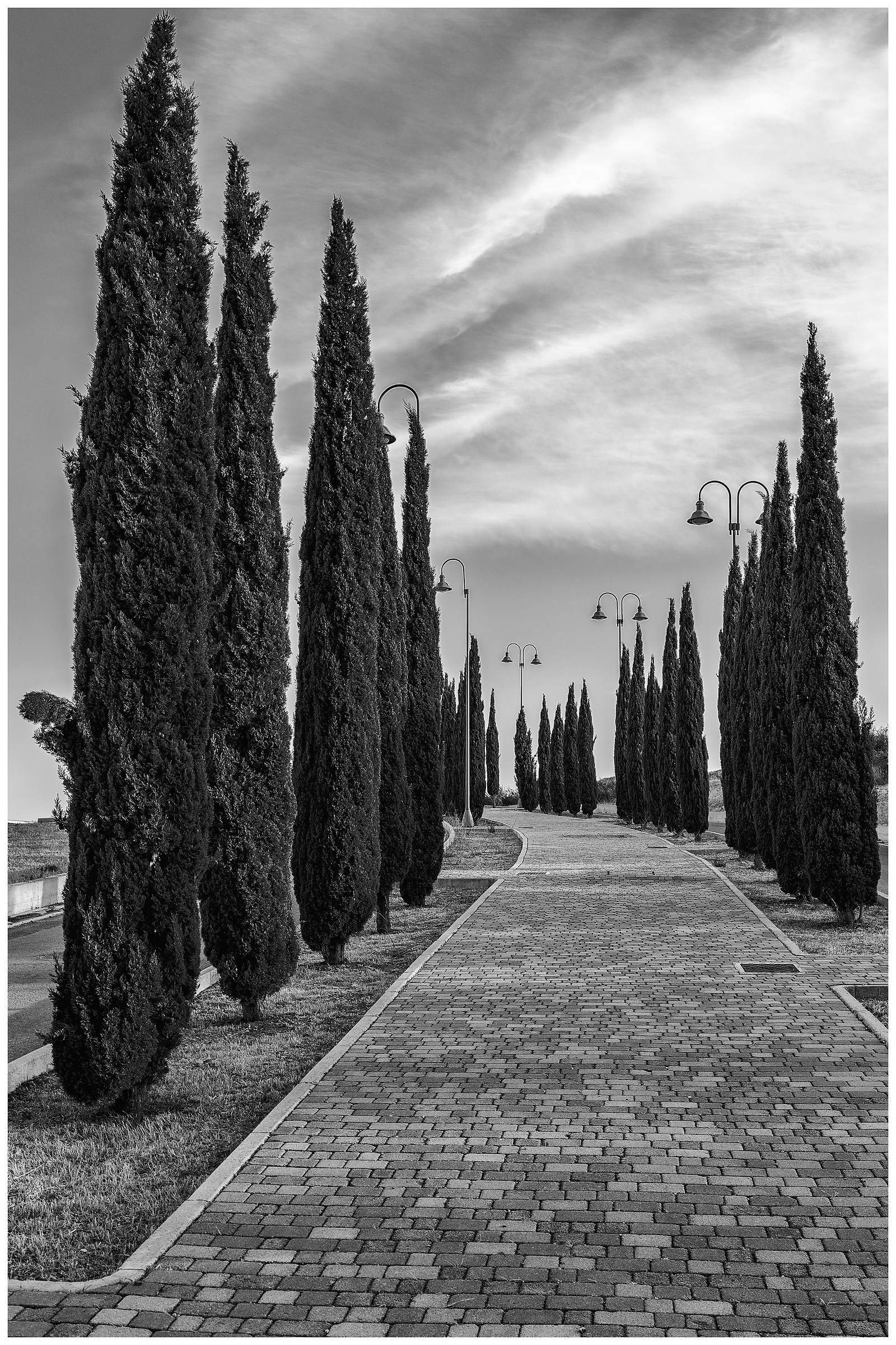 All'ombra de' cipressi