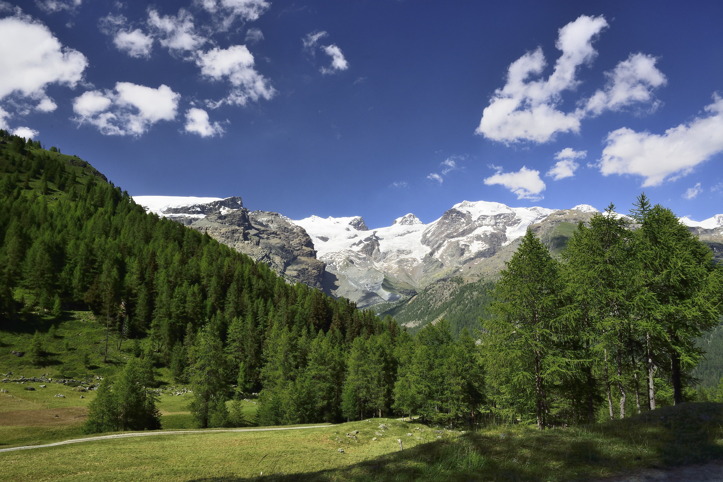Monte Rosa from Alpe Nana