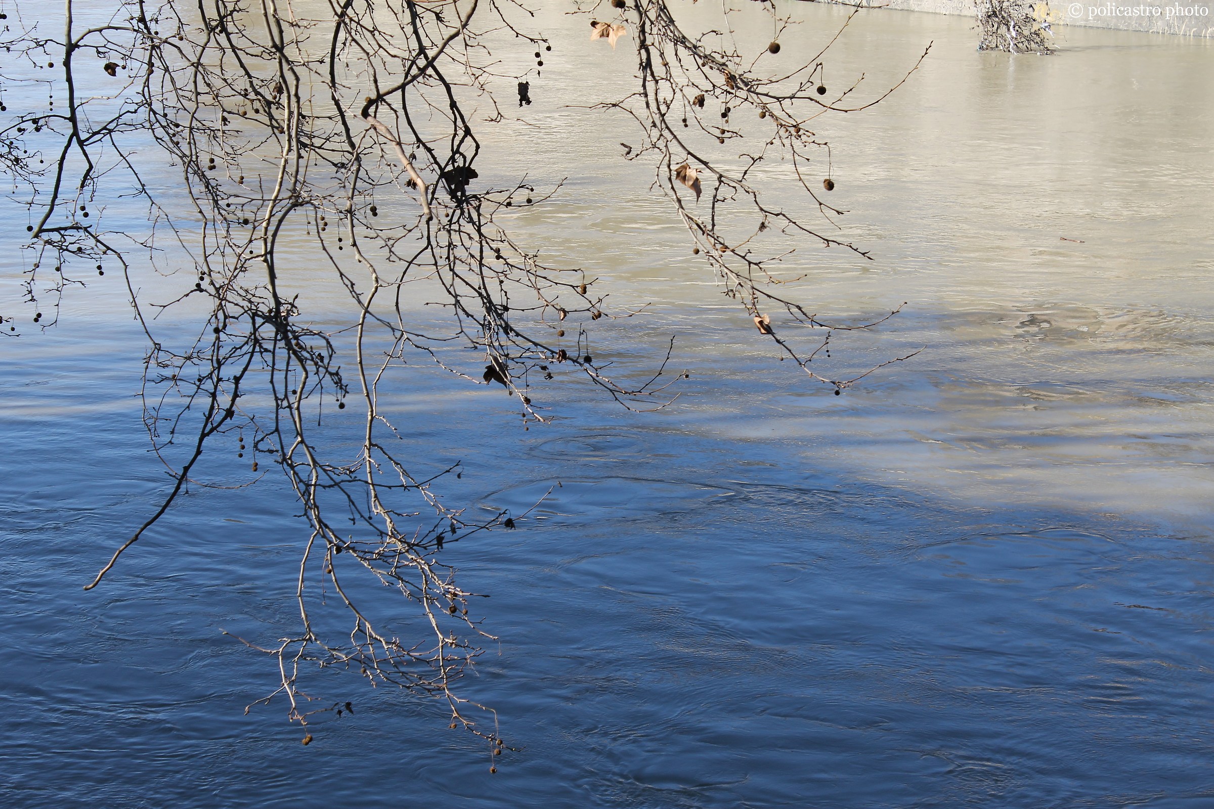 Uno sguardo sul Tevere