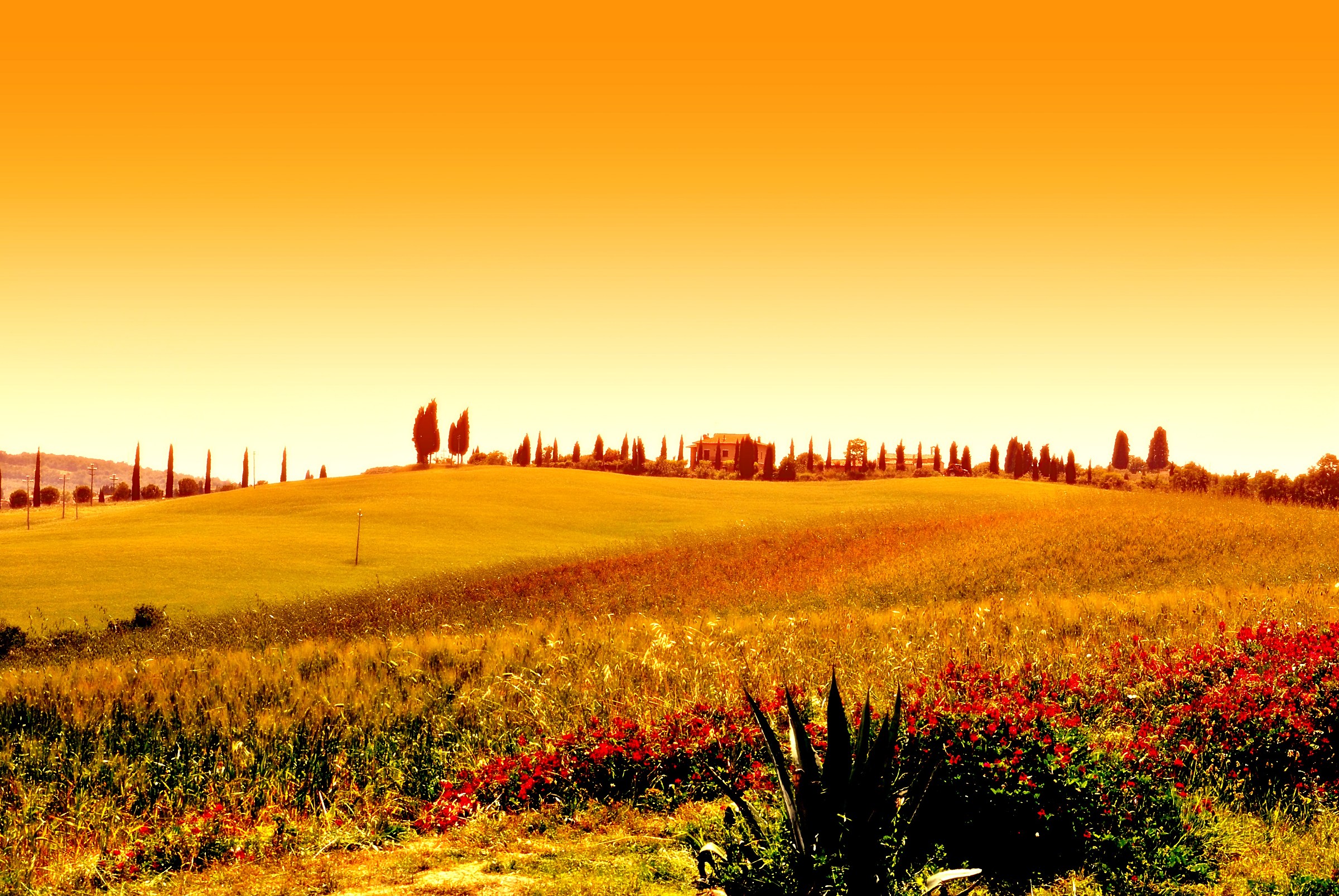 Val d'Orcia