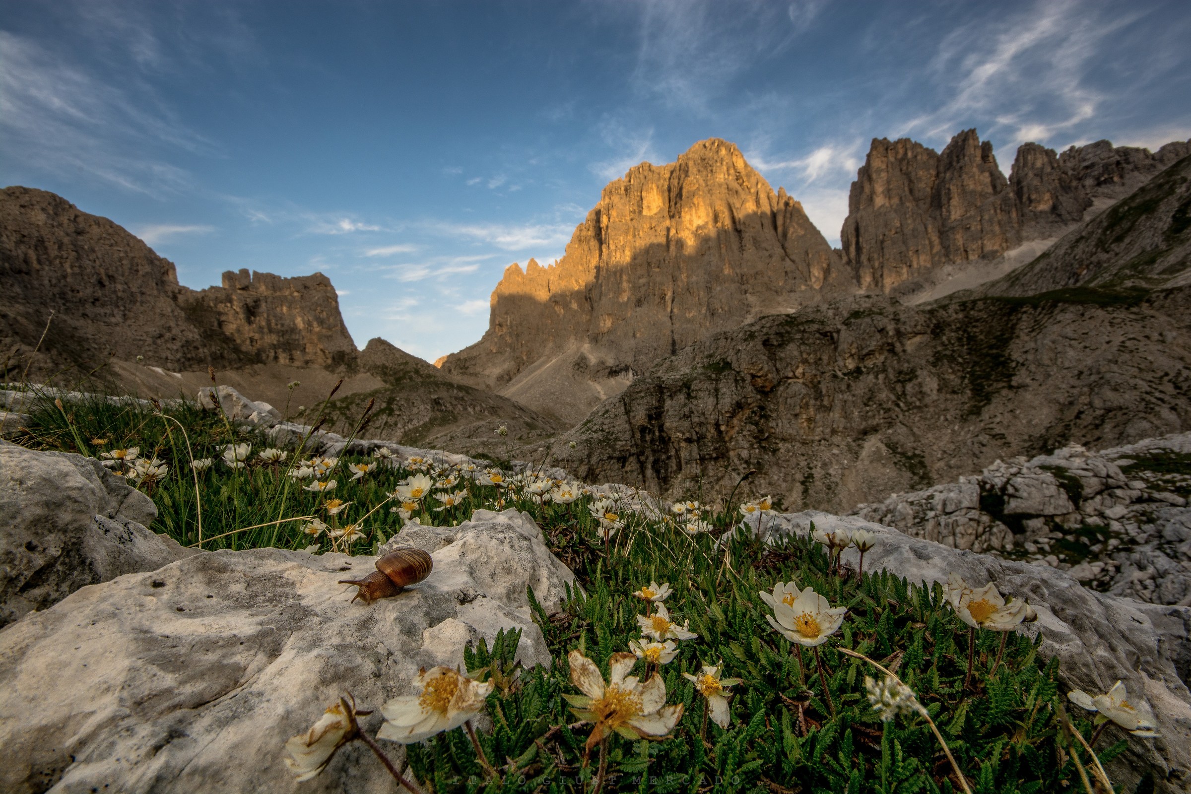 Lentamente arriverò anch'Io