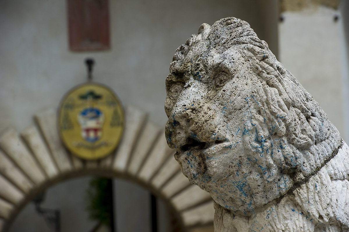 Il leone di Pitigliano