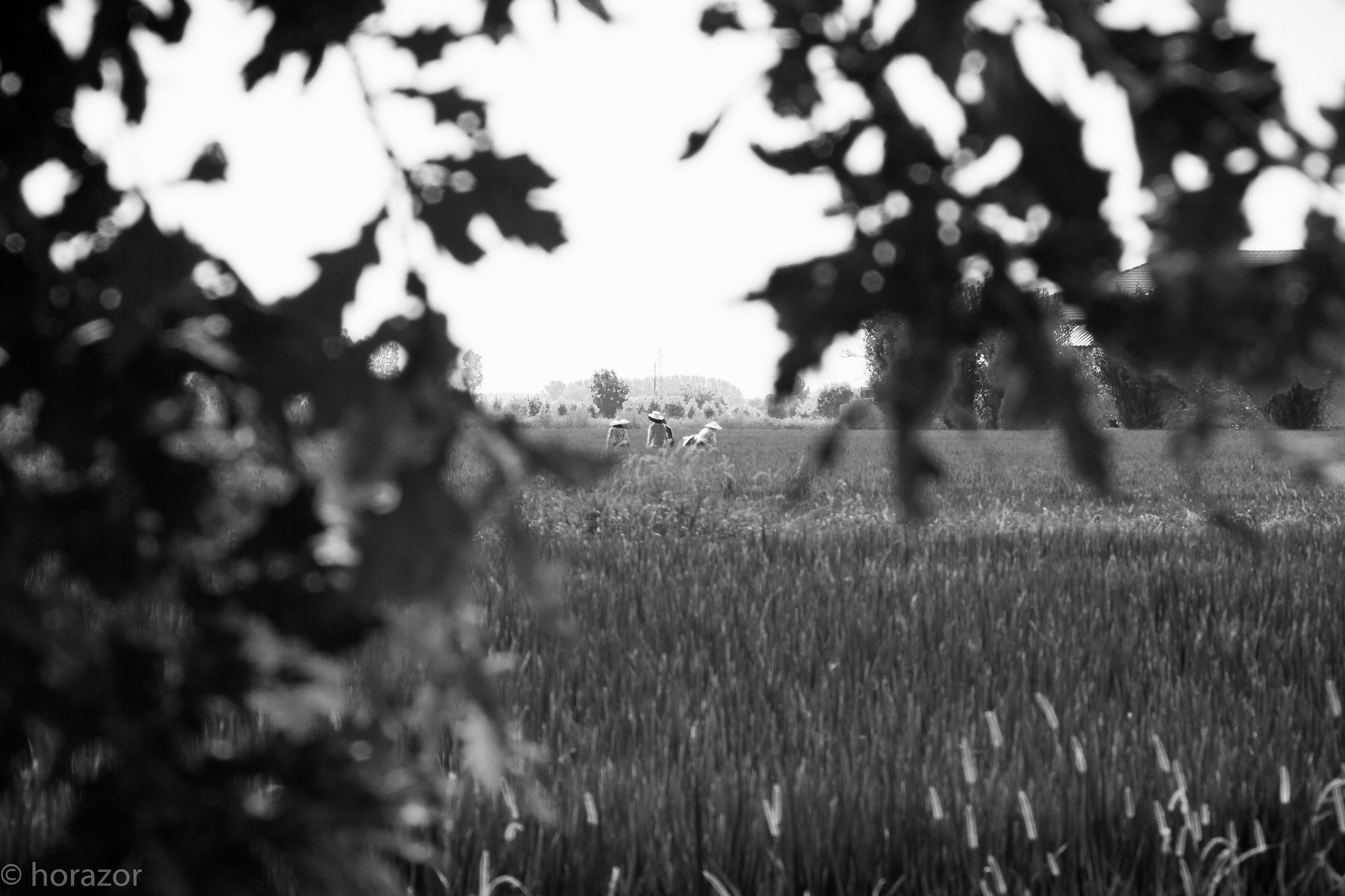 Ancient crafts in 2016