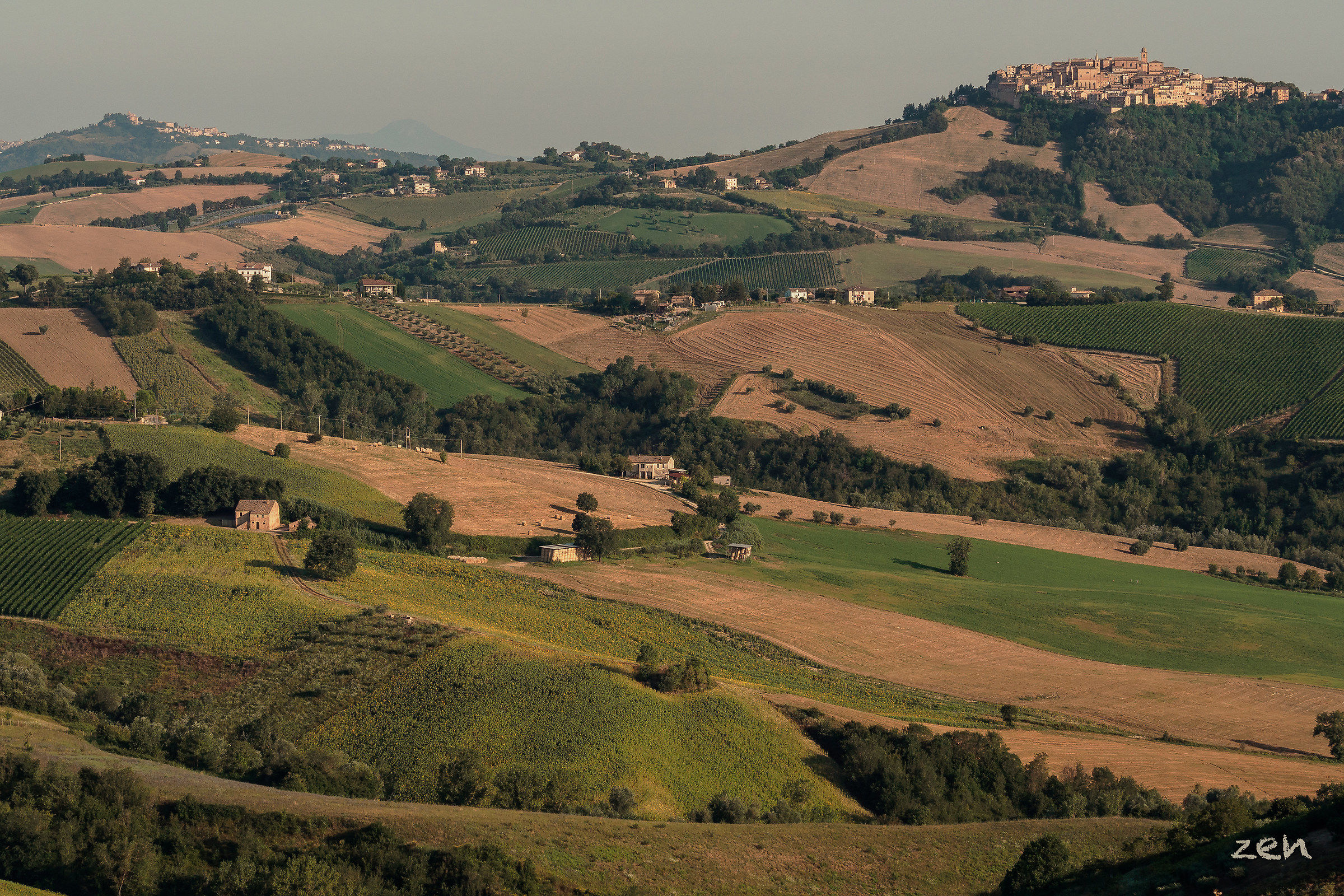 colline marchigiane
