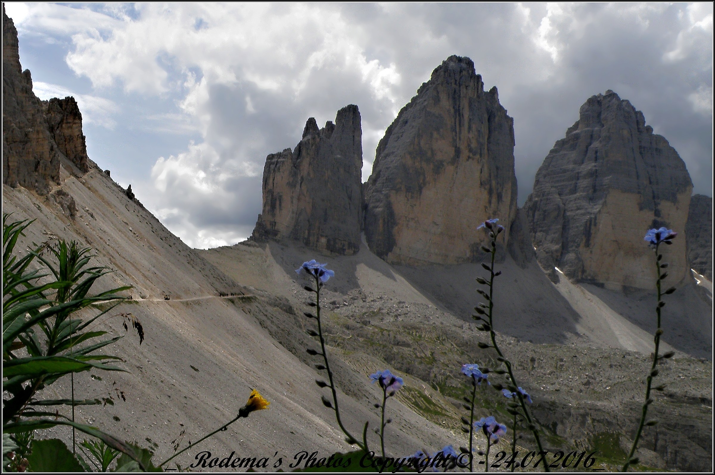A flower for each top