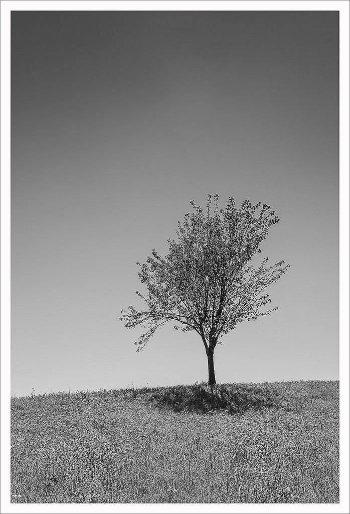 Between white and black