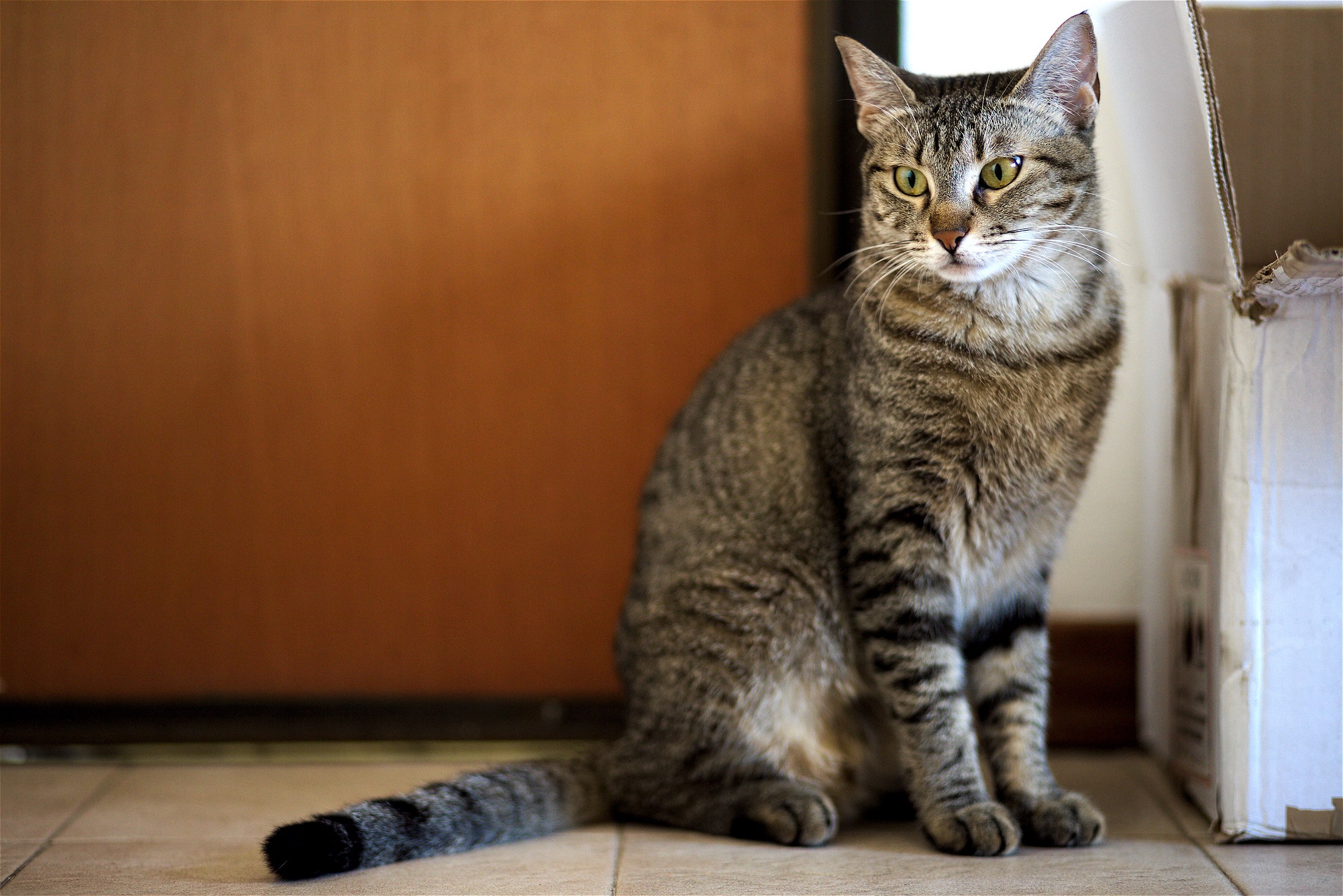 Futura - Meditations