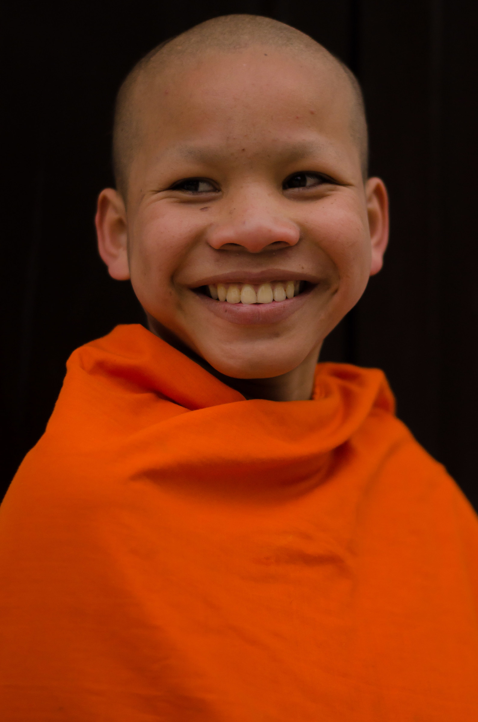 Ritratto di Monaco Novizio