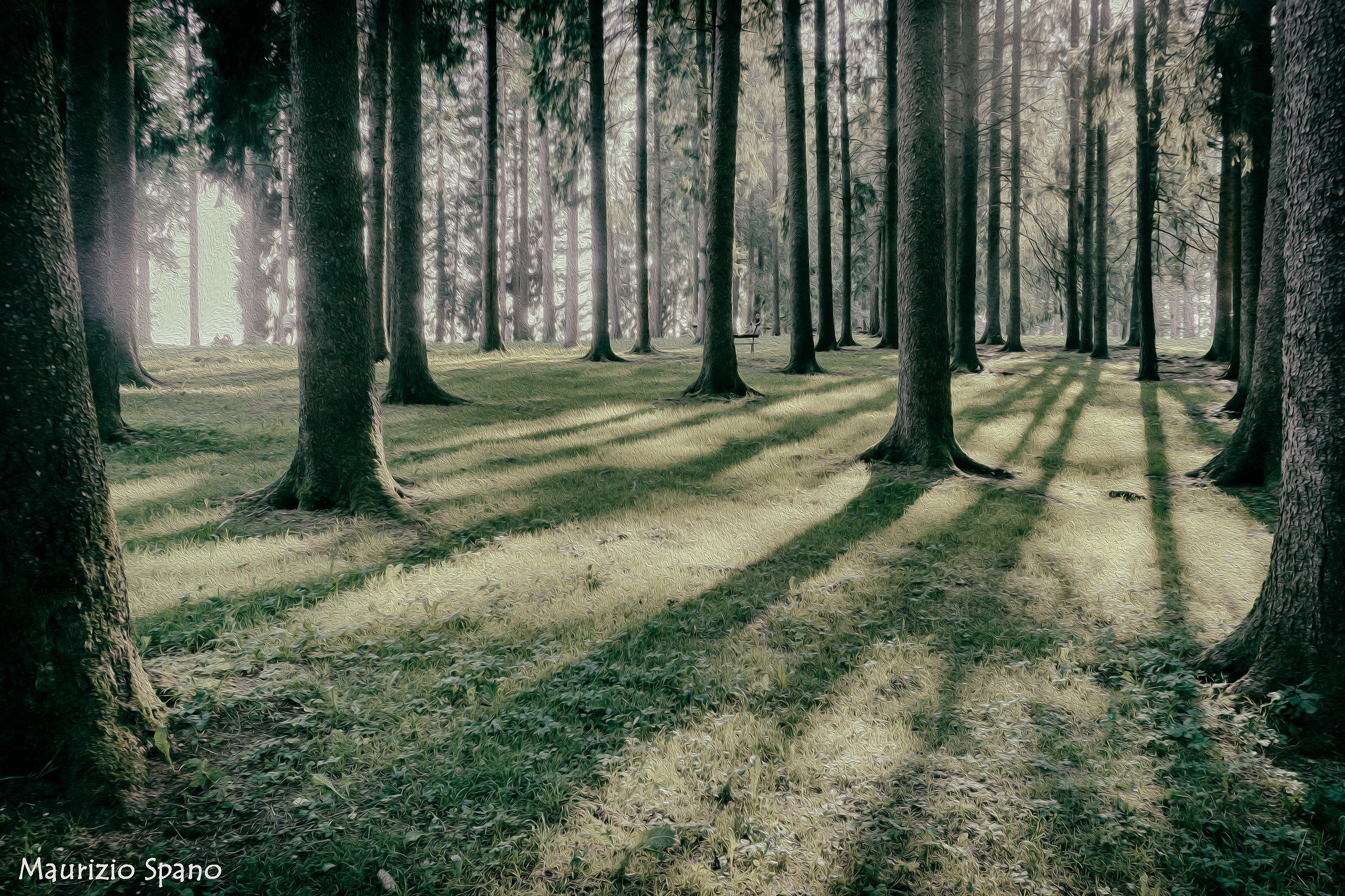 There is always a wood to cross