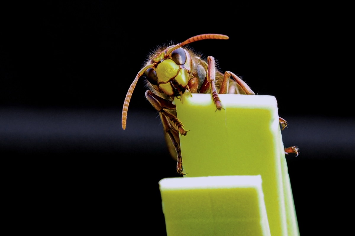 hello!....................