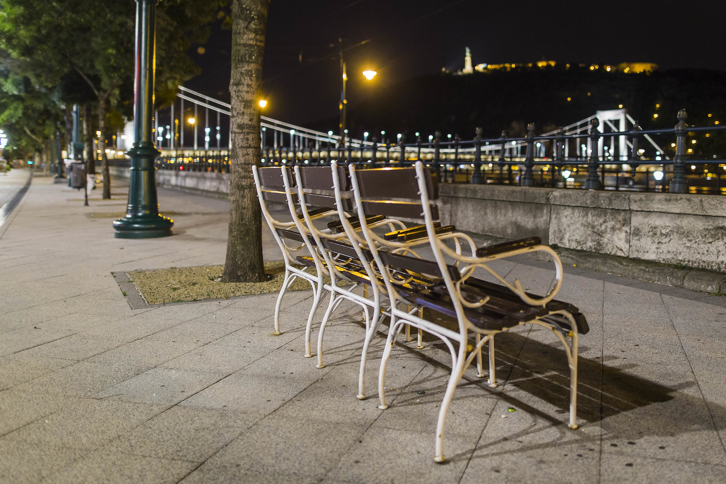 Looking at the Danube