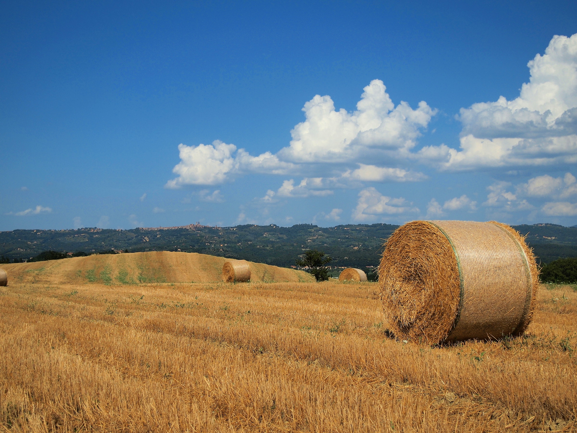 Sguardo verso Città della Pieve