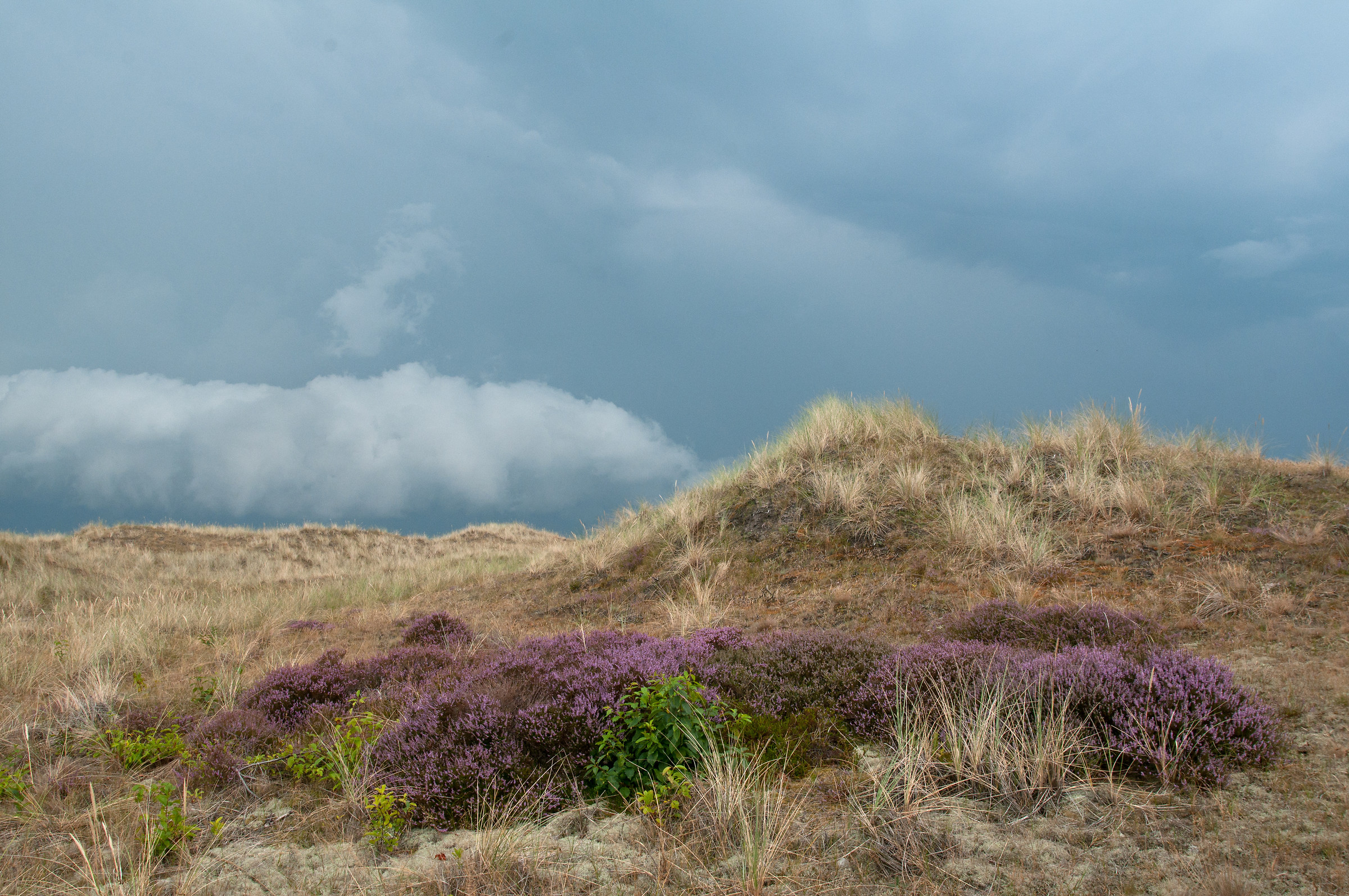 Thunderstorm is coming