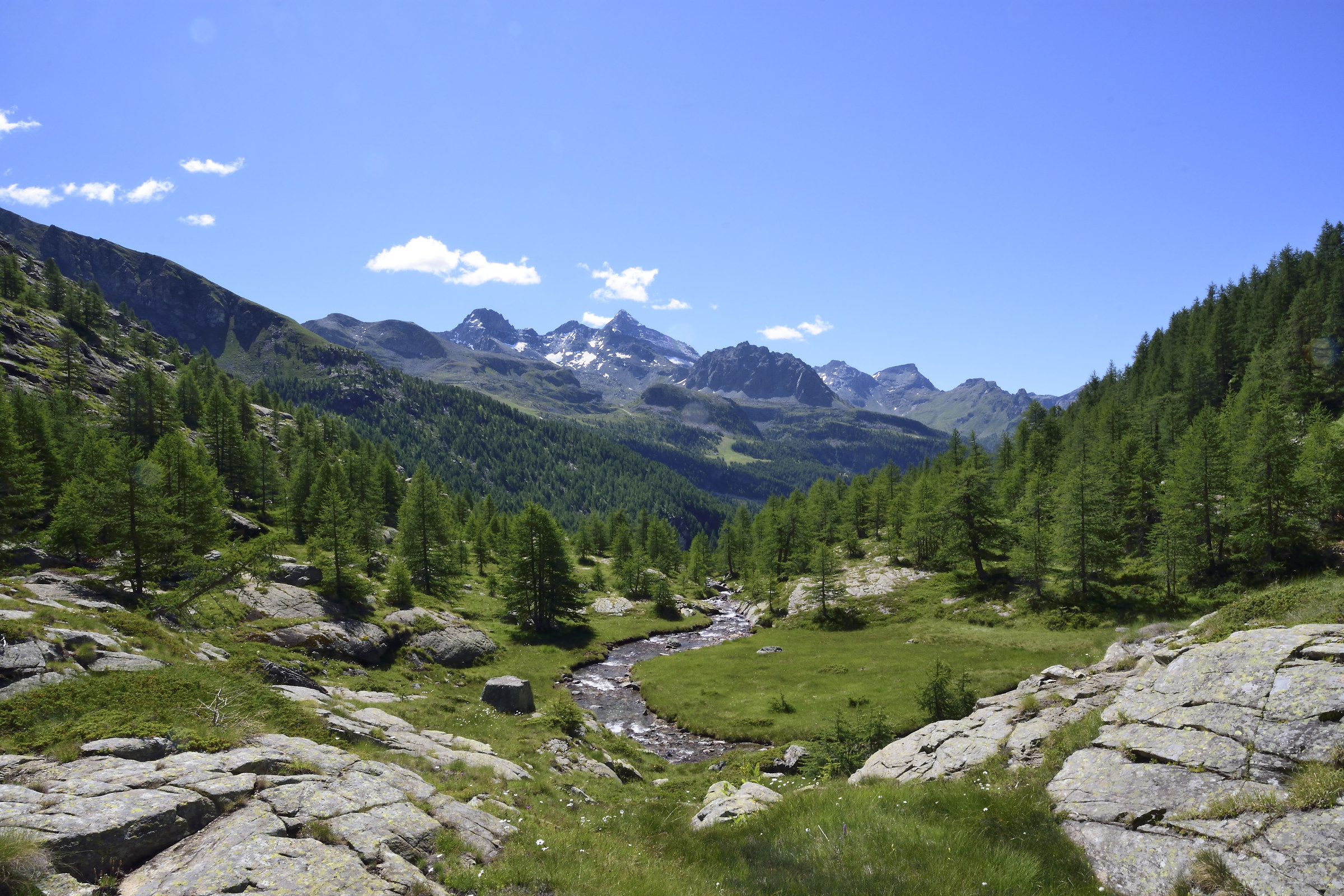 from Alpe Vardaz or Plan de Tzere