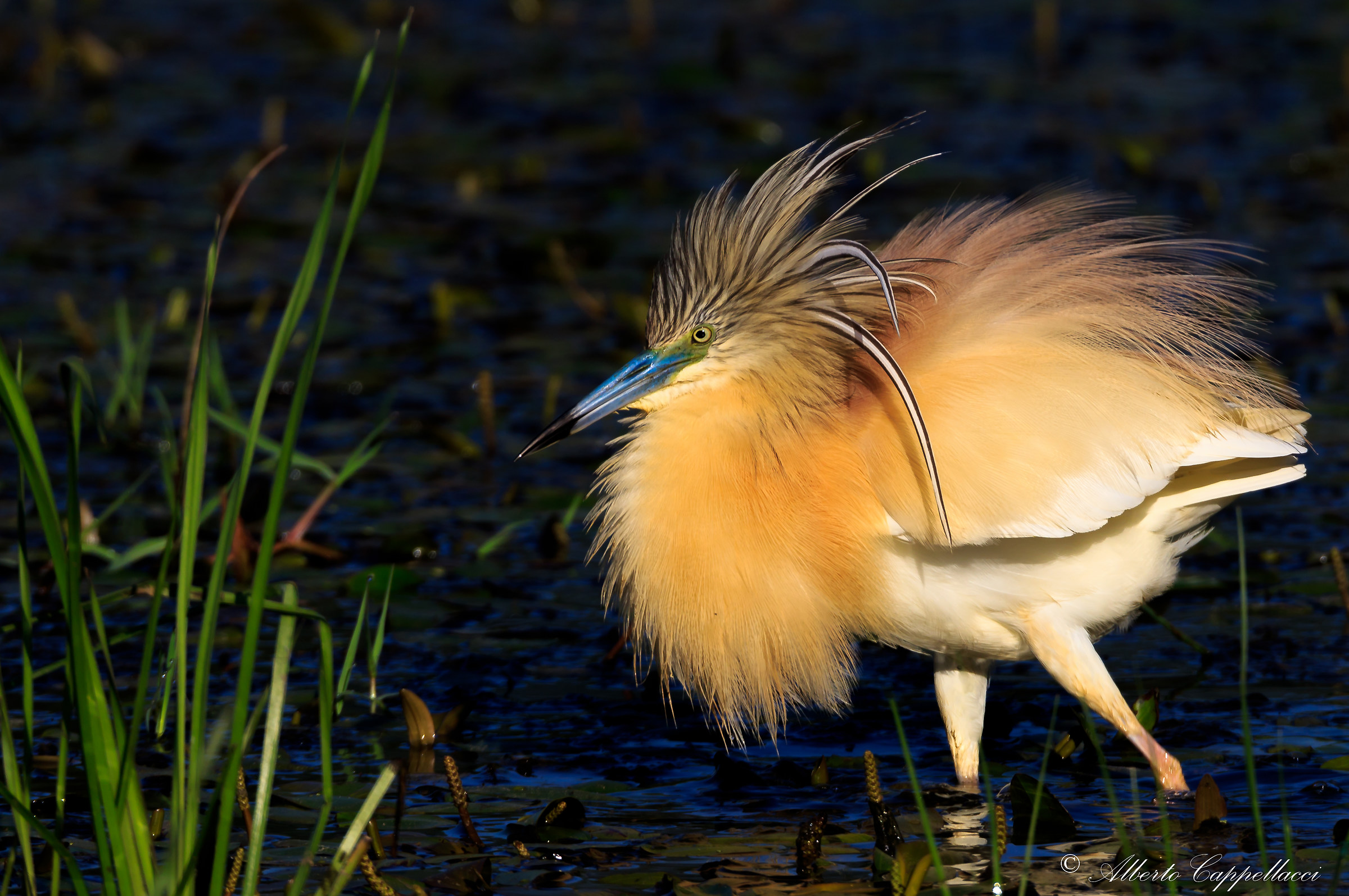 me so gonfiata tutta !