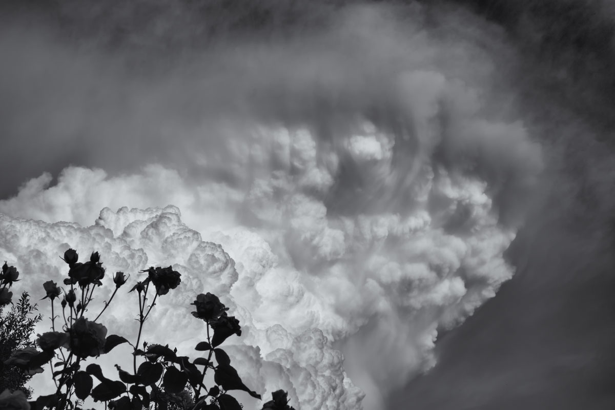 cumulonimbus su rose