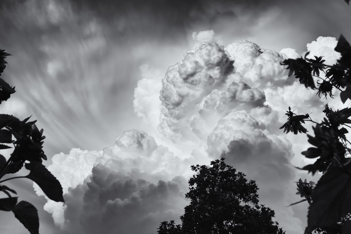 cumulonimbus su magnolia