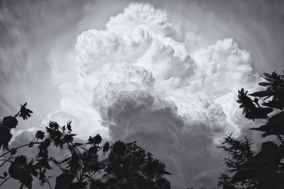 cumulonimbus su girasoli