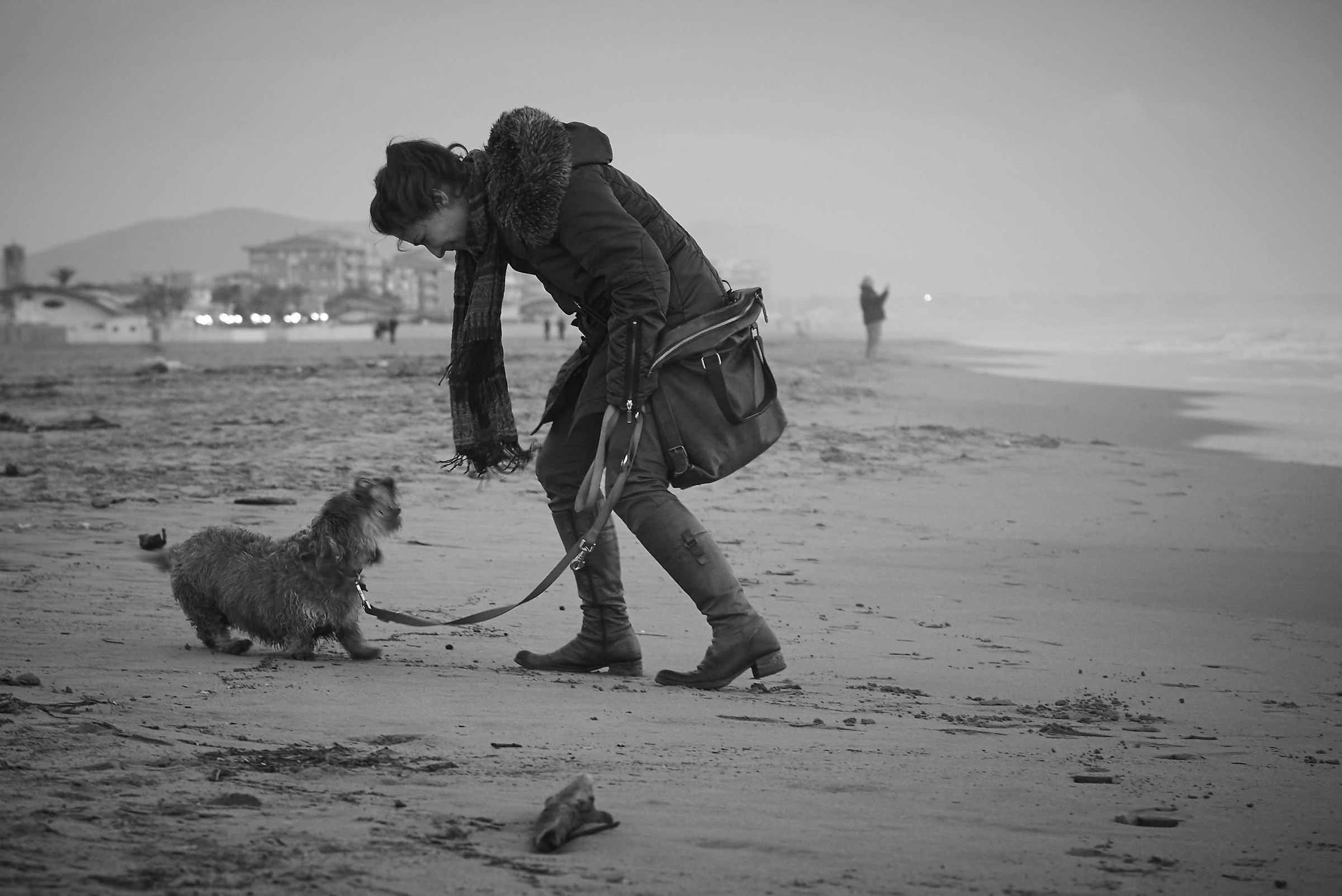 Conversazioni interspecie