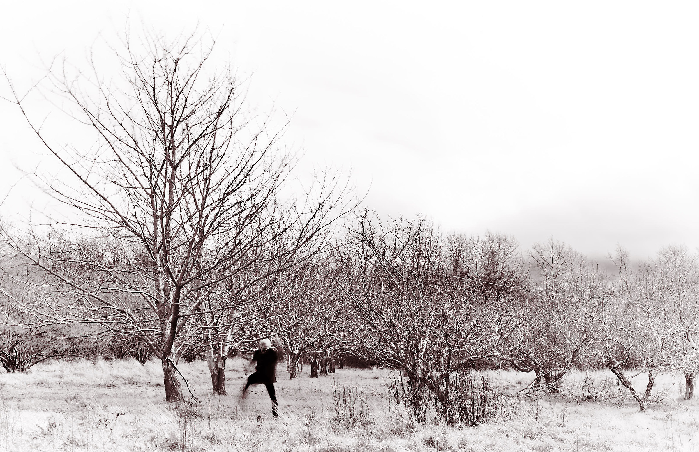 Immobilità e movimento