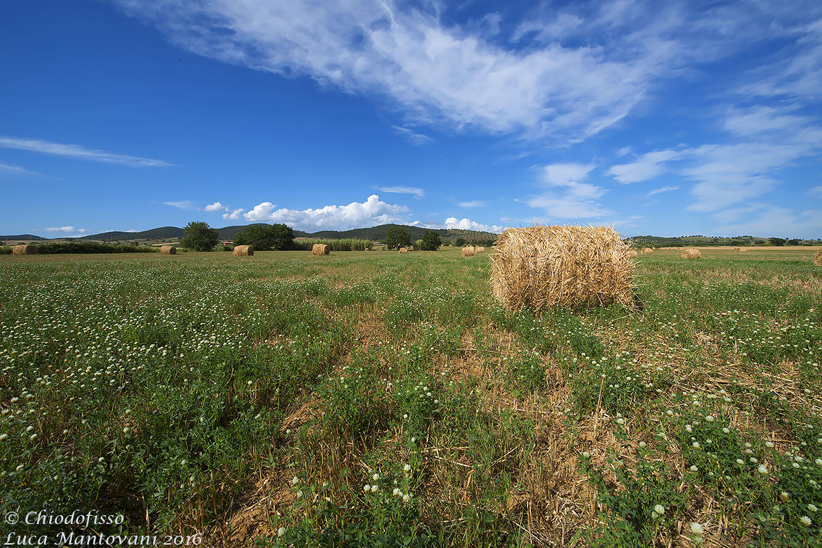 Balloni in Maremma