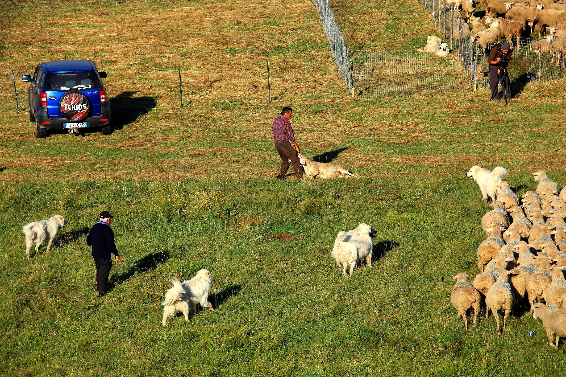 An incredible story.