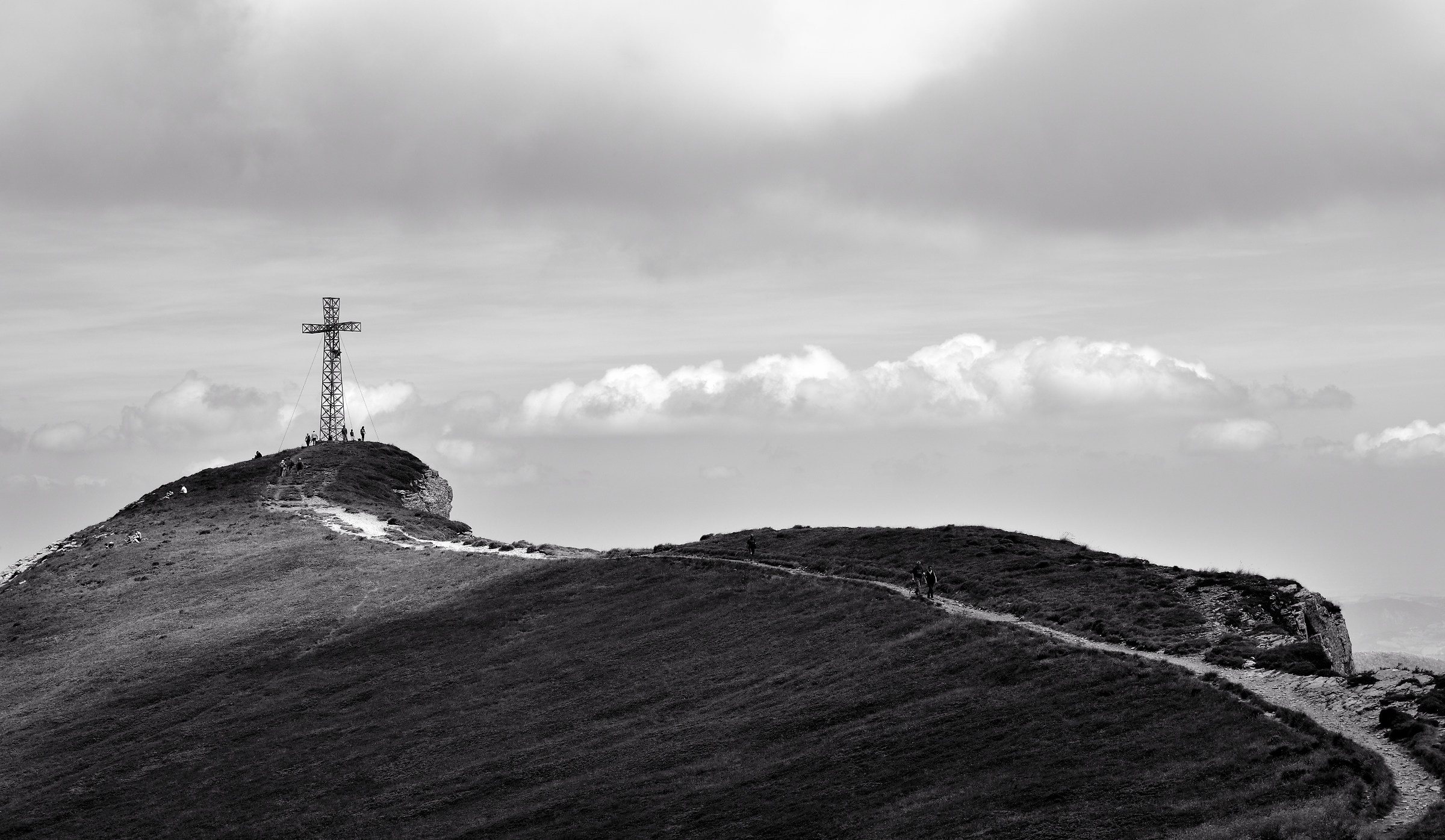 Tra i Mirtilli di Punta Sofia B/N